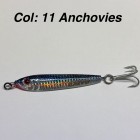 Col: 11 Anchovy