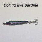 Col: 12 Live Sardine