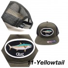 Col:11-Yellowtail