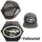 Col:7-Yellowtail